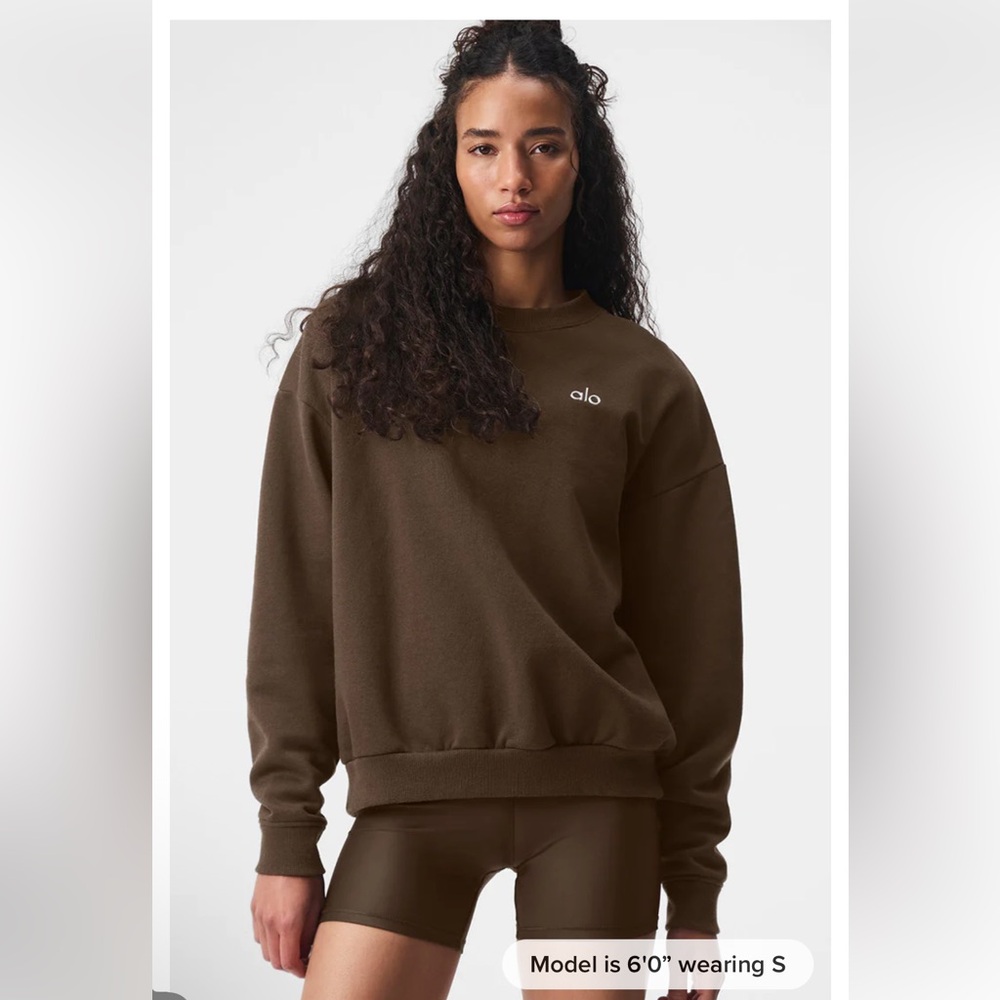 Alo Accolade Crew Neck Brown Pullover